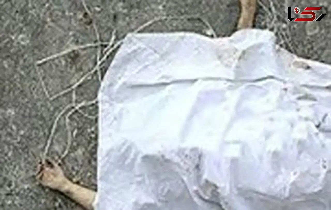 مرگ دختر بچه 4 ساله بر اثر سقوط از طبقه چهارم