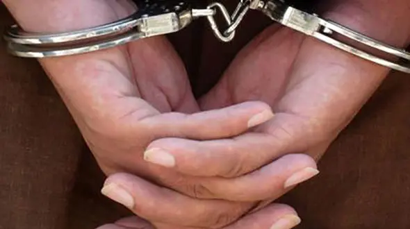 شرور معروف جنوب کرمان دستگیر شد