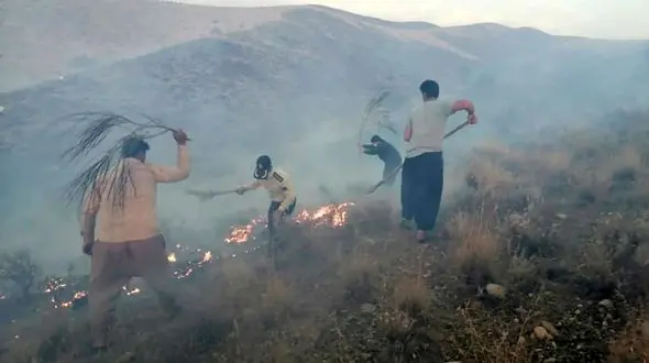 بزرگترین آتش سوزی زاگرس / ارسنجان در حال سوختن + فیلم