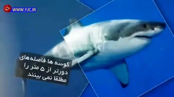 ۱۱ دانستنی جالب و شگفت‌انگیز که شاید تاکنون نشنیده باشید! + فیلم