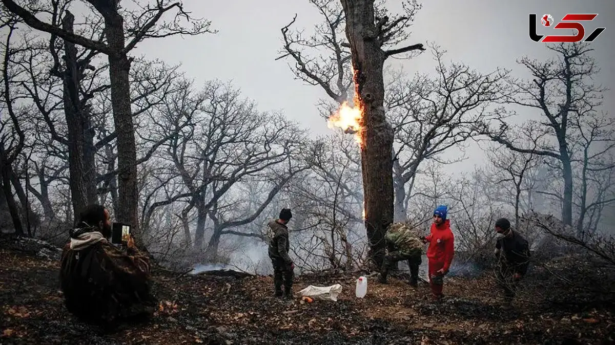 ۲۵۶ آتش‌سوزی از ابتدای سال؛ هشدار جدی درباره خشکی بی‌سابقه جنگل های ایران / آتش الیت چالوس؛ نماد شکاف فناوری در مدیریت بحران
