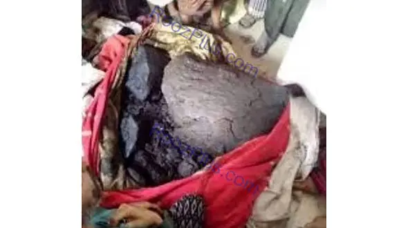 
کشف گنجی ارزشمند در معده یک نهنگ مرده+عکس
