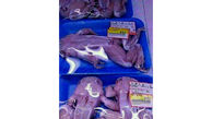فروش گوشت قورباغه در شمال تهران شایعه است