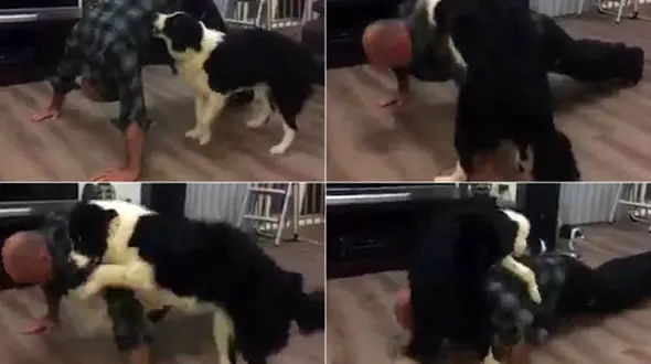 حرکات عجیب یک سگ در چالش 22 شنای سوئدی+فیلم