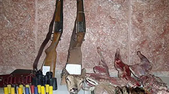 دستگیری 3 شکارچی در اردستان/ 2 قبضه سلاح توسط محیط بان ها کشف شد