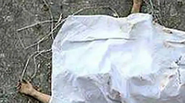 جسد جوان گلستانی در جنگل نوکنده پیدا شد