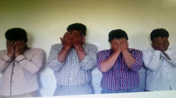 کله پاچه گوسفندان سکوت دزدان را شکست+عکس