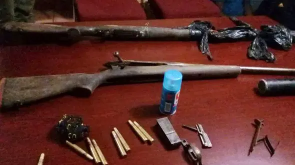 شیرها شکار غیرقانونی کرگدن را خوردند