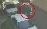 فیلم لحظه به لحظه سرقت گاوصندوق از خانه ای در سعادت آباد تهران 