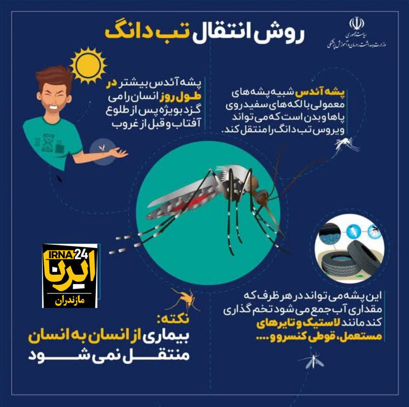 روش انتفال تب دنگی