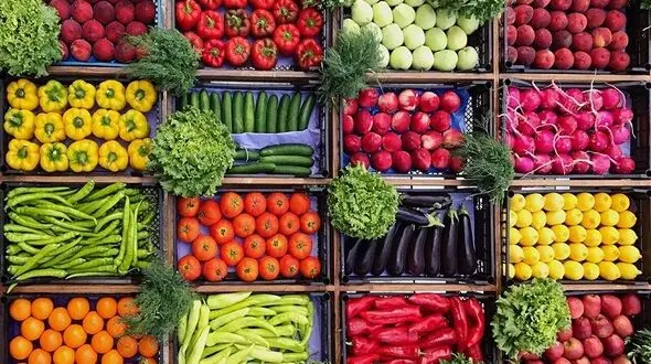 صدور شناسه برای محصولات کشاورزی صادراتی / پایان چالش‌های کیفی در بازارهای هدف