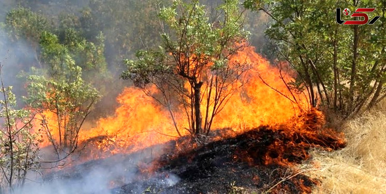 آتش سوزی کوه سیلم چاروسا همچنان ادامه دارد