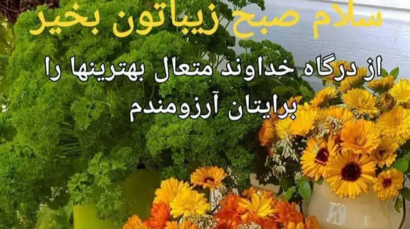 فال روزانه شخصی / 27 آذر ماه + فیلم