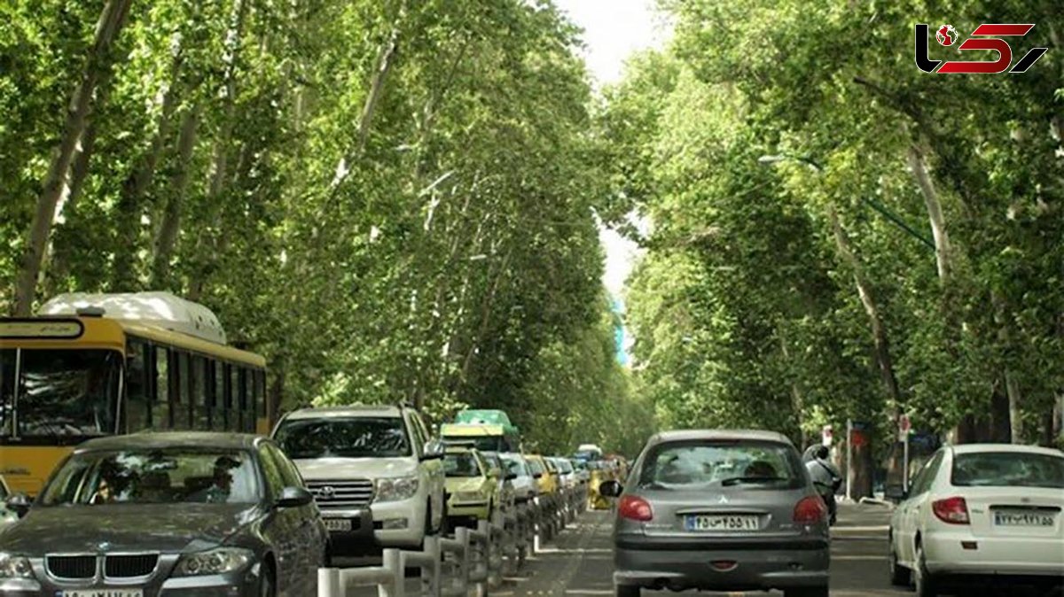  خیابان ولیعصر ثبت جهانی می شود