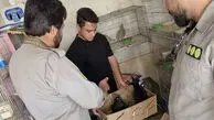 عکس / ضبط گونه‌ های حفاظت‌ شده در بازار پرندگان خلیج فارس 
