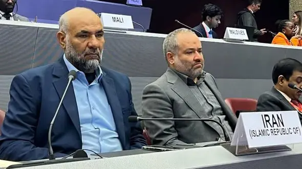 رئیس سازمان ملی مهاجرت: ایران ظرفیت پذیرش مهاجرین جدید را ندارد