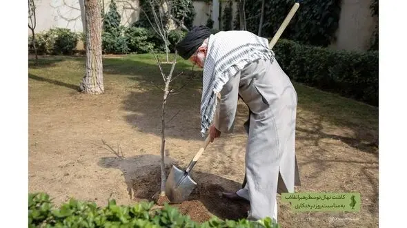 میراث سبز رهبر شهید؛ از سنت درختکاری تا نهضت کاشت یک میلیارد درخت