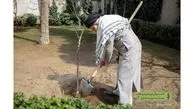 میراث سبز رهبر شهید؛ از سنت درختکاری تا نهضت کاشت یک میلیارد درخت
