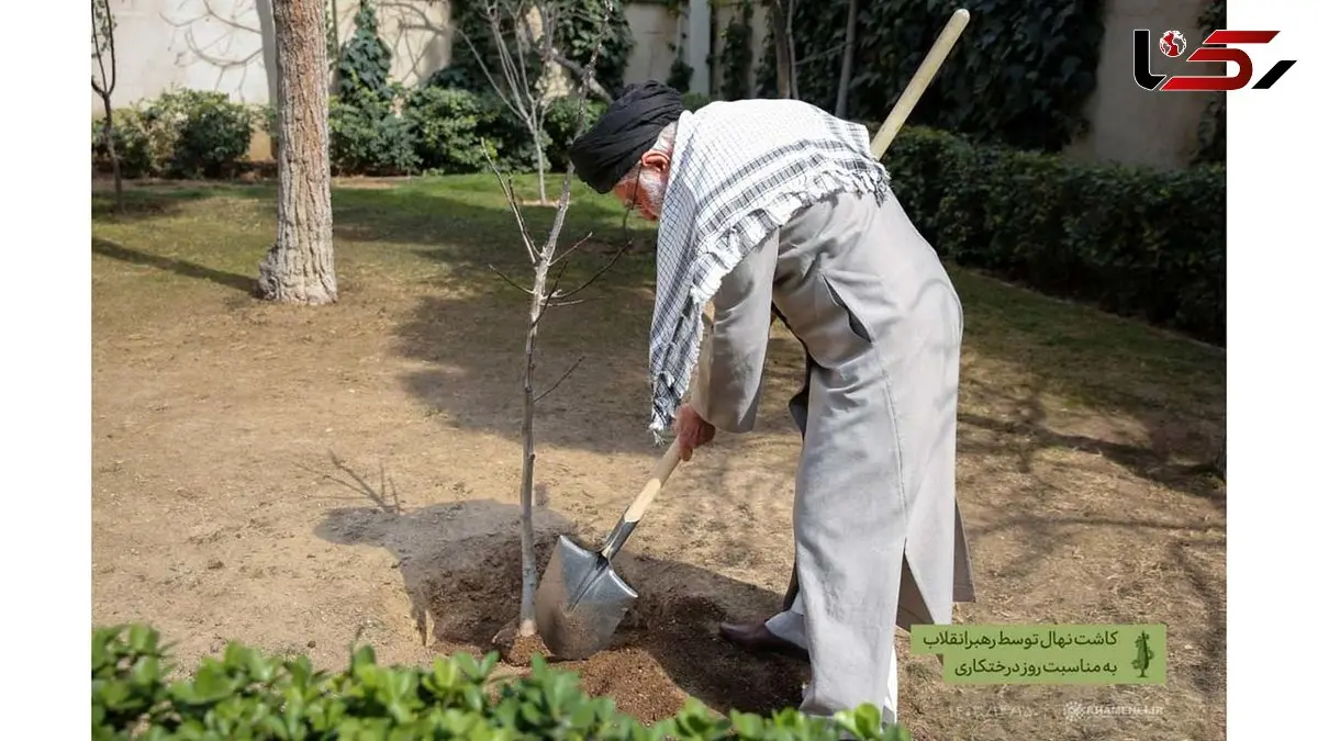 میراث سبز رهبر شهید؛ از سنت درختکاری تا نهضت کاشت یک میلیارد درخت
