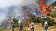 
آتش سوزی در پارک ملی پابند
