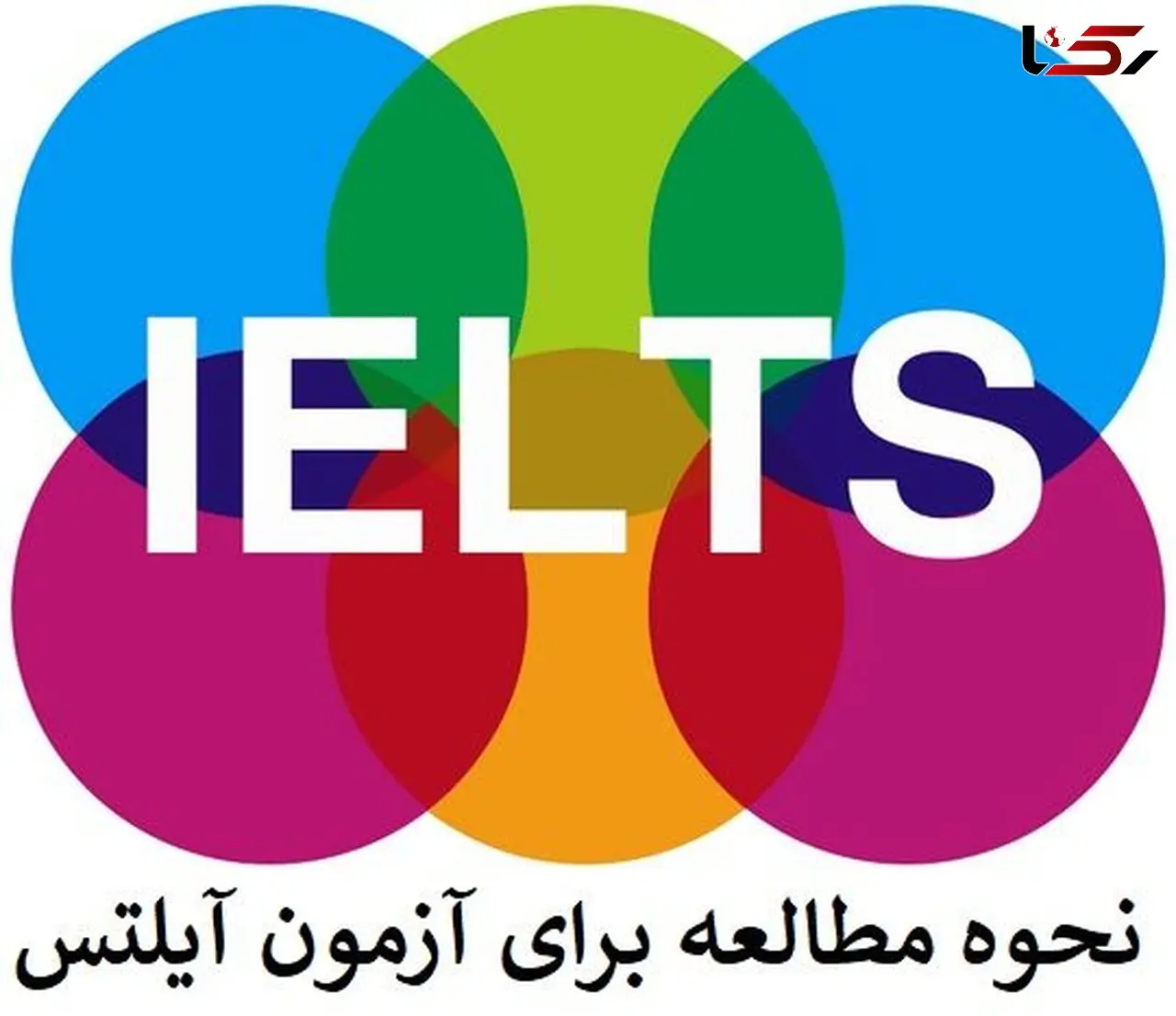 نحوه مطالعه برای آزمون آیلتس در منزل و گرفتن مدرک IELTS
