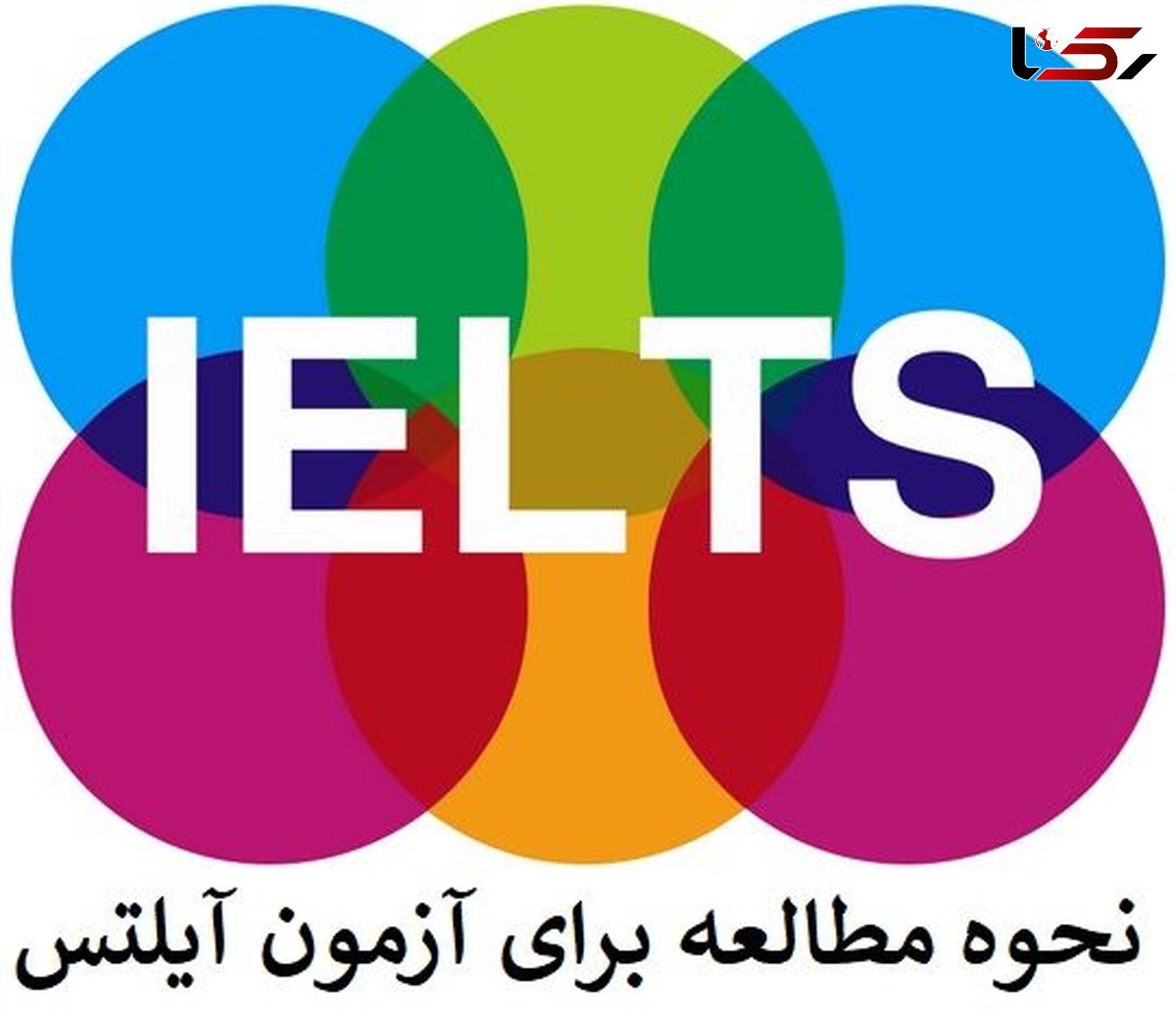 نحوه مطالعه برای آزمون آیلتس در منزل و گرفتن مدرک IELTS
