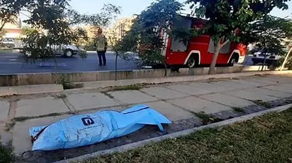  مرگ مرد ویلچرنشین و همسرش زیر چرخ های مینی بوس / بستری دختر 16 ساله در بیمارستان کرمان