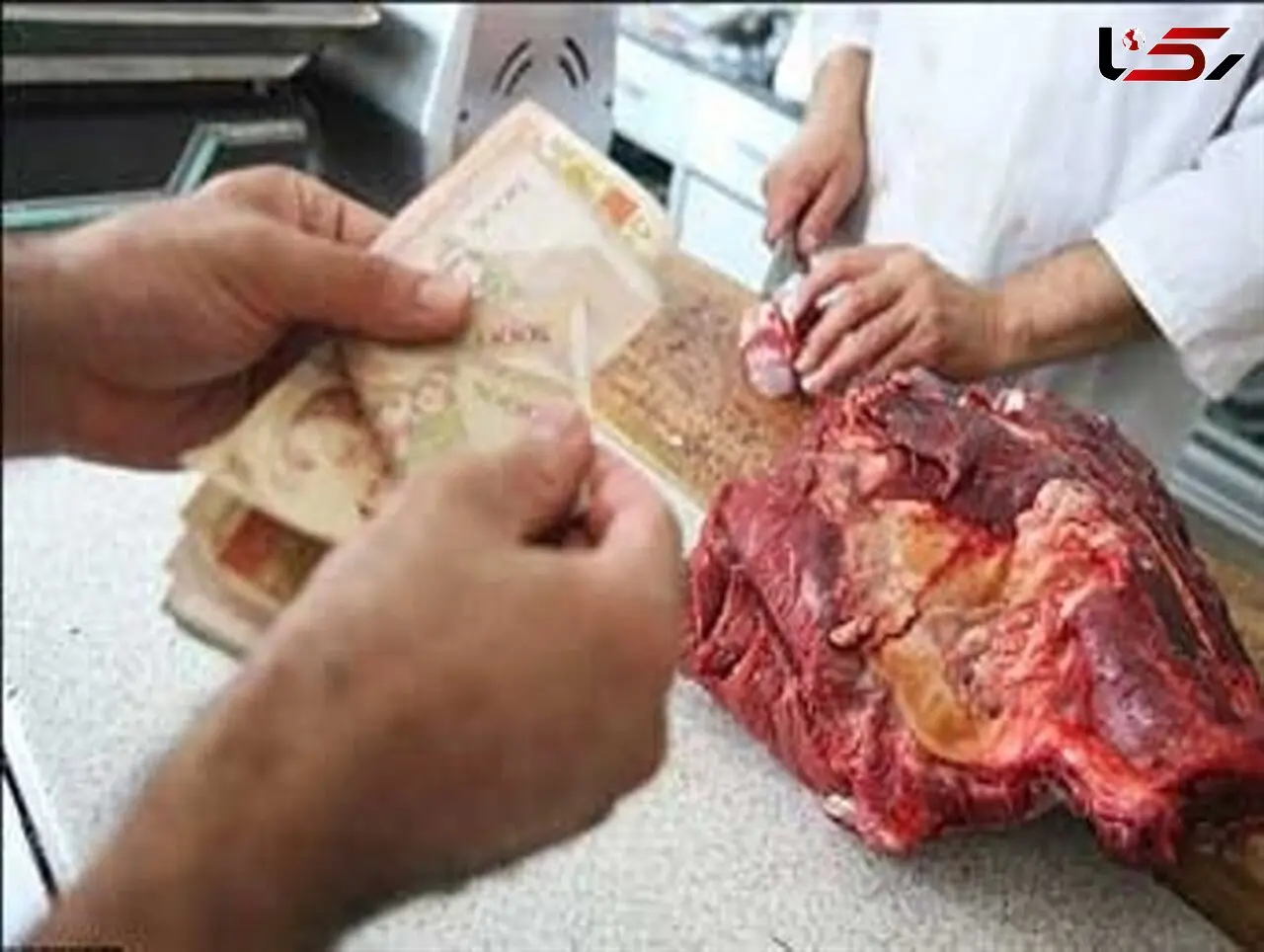 قیمت گوشت با اقدام ضربتی کاهش می یابد