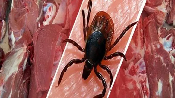 فوت یک نفر بر اثر بیماری تب کریمه کنگو در قم