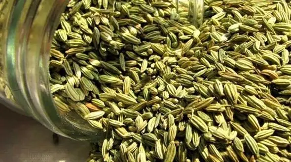 خواص زیره سبز چیست؟