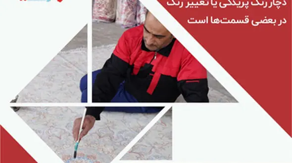 آیا فرش شما به سوسک فرش آلوده شده است؟