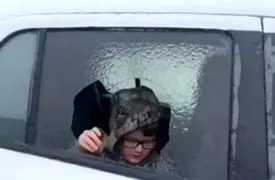 شوکه شد/ فکر کرد شیشه ماشینش شکسته اما حقیقت یخ‌زدگی بود + فیلم