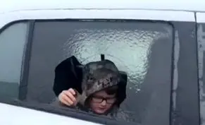 شوکه شد/ فکر کرد شیشه ماشینش شکسته اما حقیقت یخ‌زدگی بود