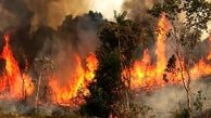 حادثه آتش سوزی در پارک ملت قزوین