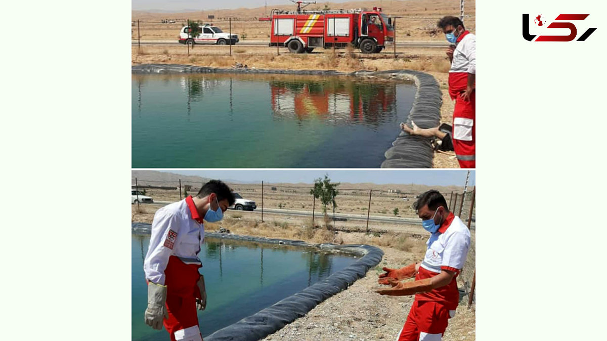 جوان سمنانی در استخر غرق شد 