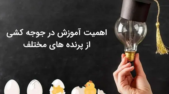 برای موفقیت در جوجه کشی از پرنده های مختلف باید چه آموزش هایی را ببینیم؟