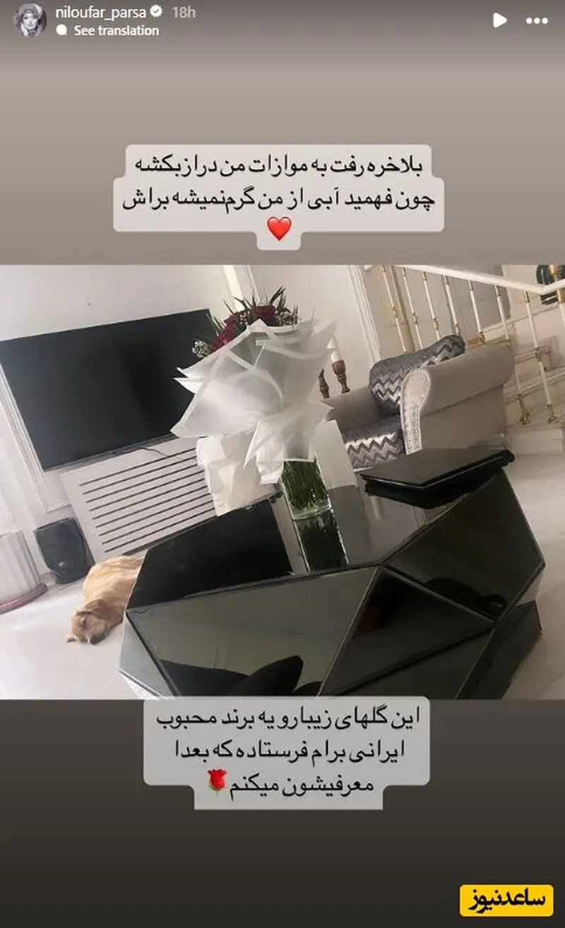 استوری نیلوفر پارسا
