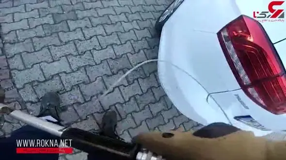 عملیات موفقیت‌آمیز آتش‌نشانان آلمانی برای نجات موش چاق