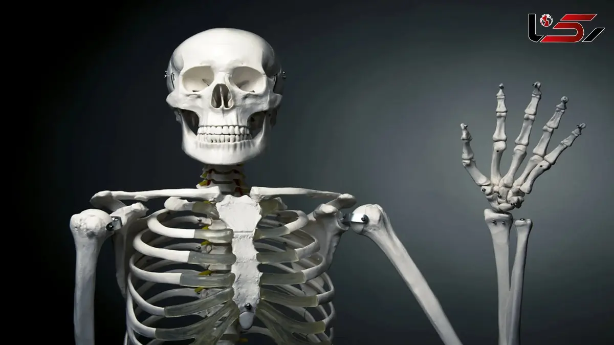 آیا در انسان‌ ها استخوان اضافی وجود دارد؟