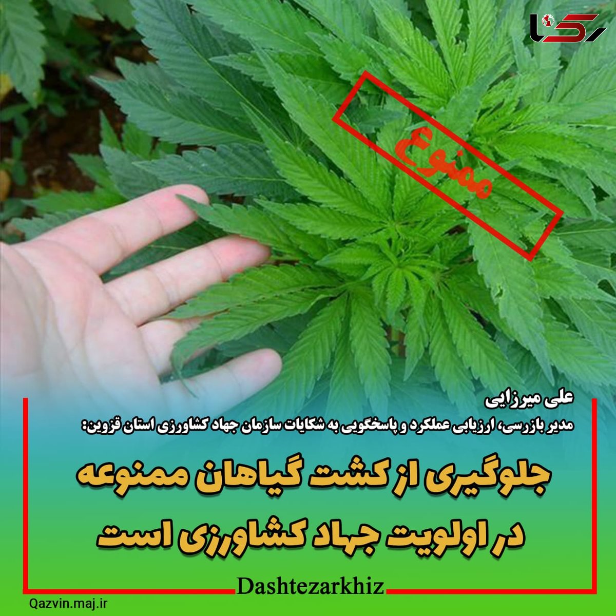 جلوگیری از کشت گیاهان ممنوعه در اولویت جهاد کشاورزی قزوین است