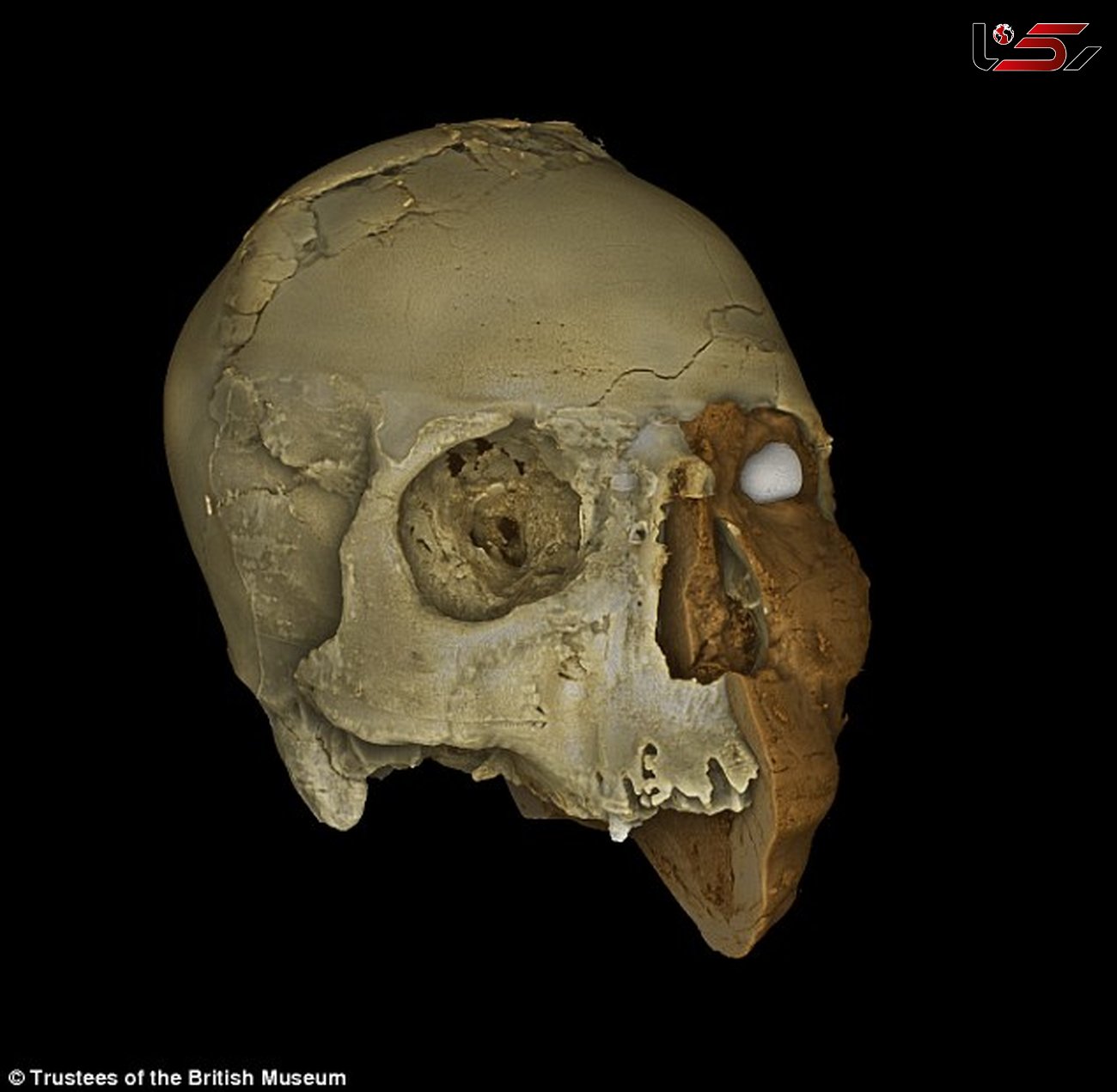 بازسازی چهره مرد نوسنگی 10هزار ساله + گزارش تصویری 