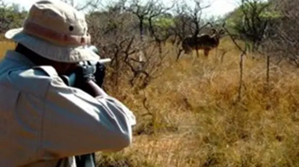 شکارچی ناشی پراید عبوری را به جای شکار زد! / 2 مصدوم به بیمارستان گنبد منتقل شدند