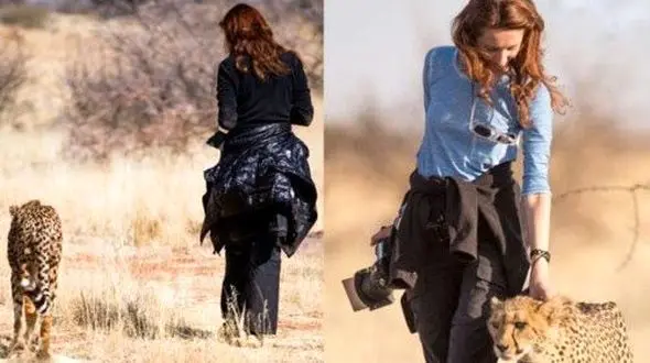 دوستی باورنکردنی این زن جوان با یوزپلنگ های وحشی+عکس