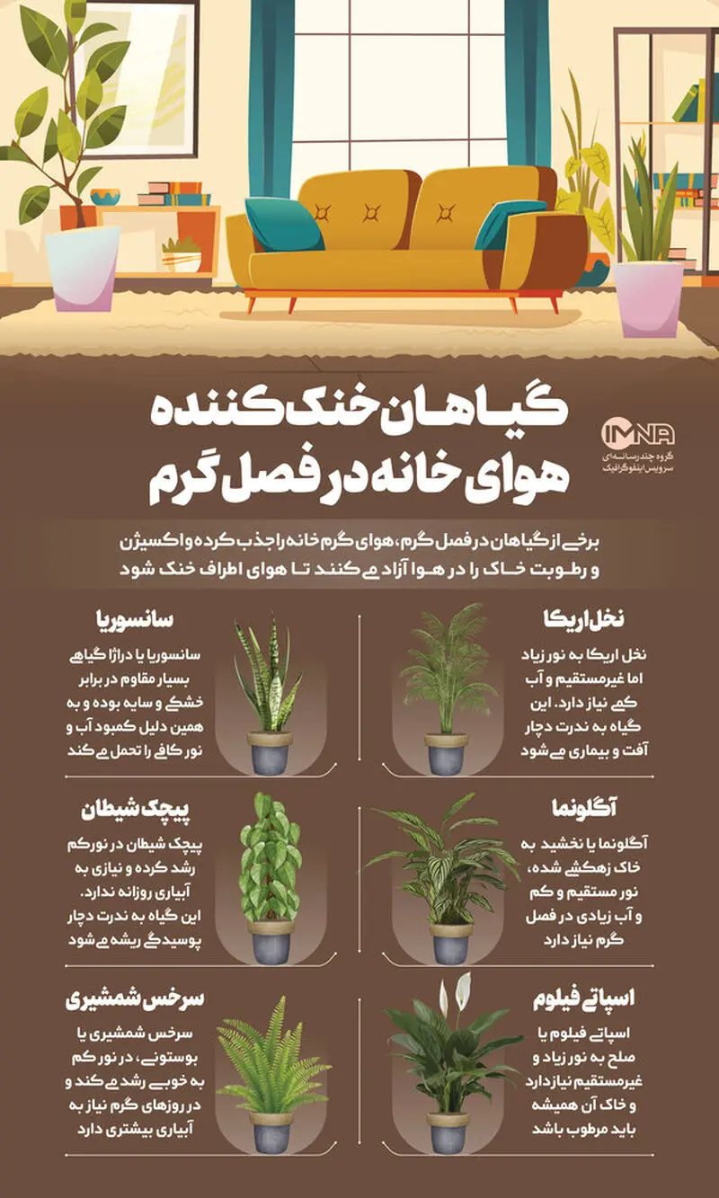 اینفوگرافیک گیاهان