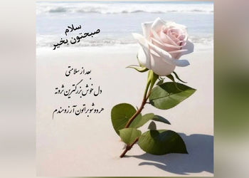 فال روزانه 19 خرداد 
