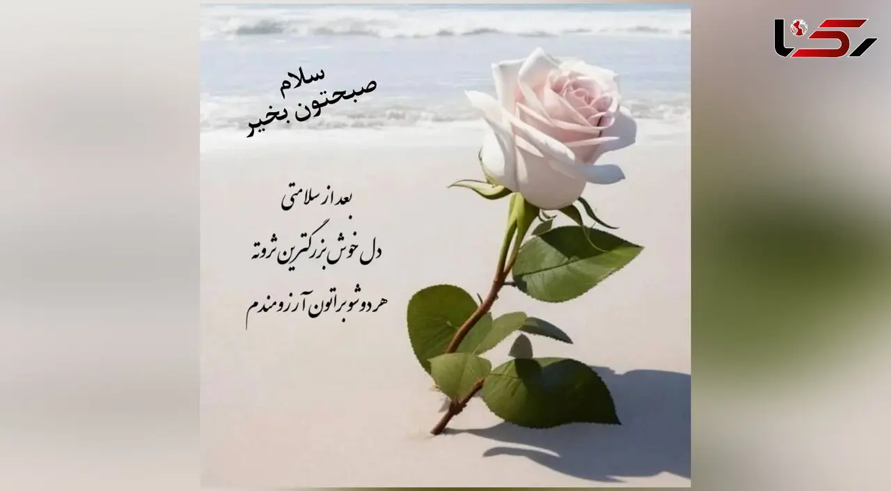 فال روزانه 19 خرداد 