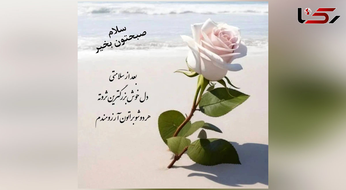 فال روزانه 19 خرداد