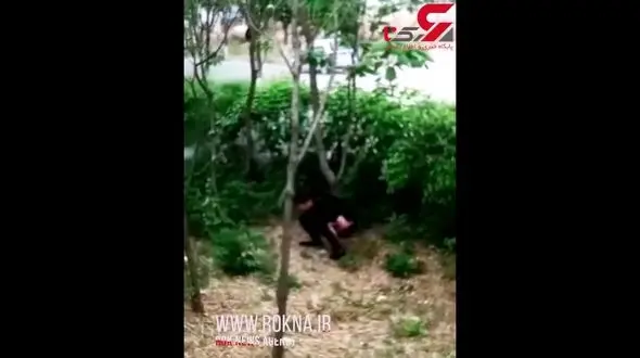 آبپاش شهرداری این جوان را هنگام کثافتکاری پشت شمشادها غافلگیر کرد! + فیلم