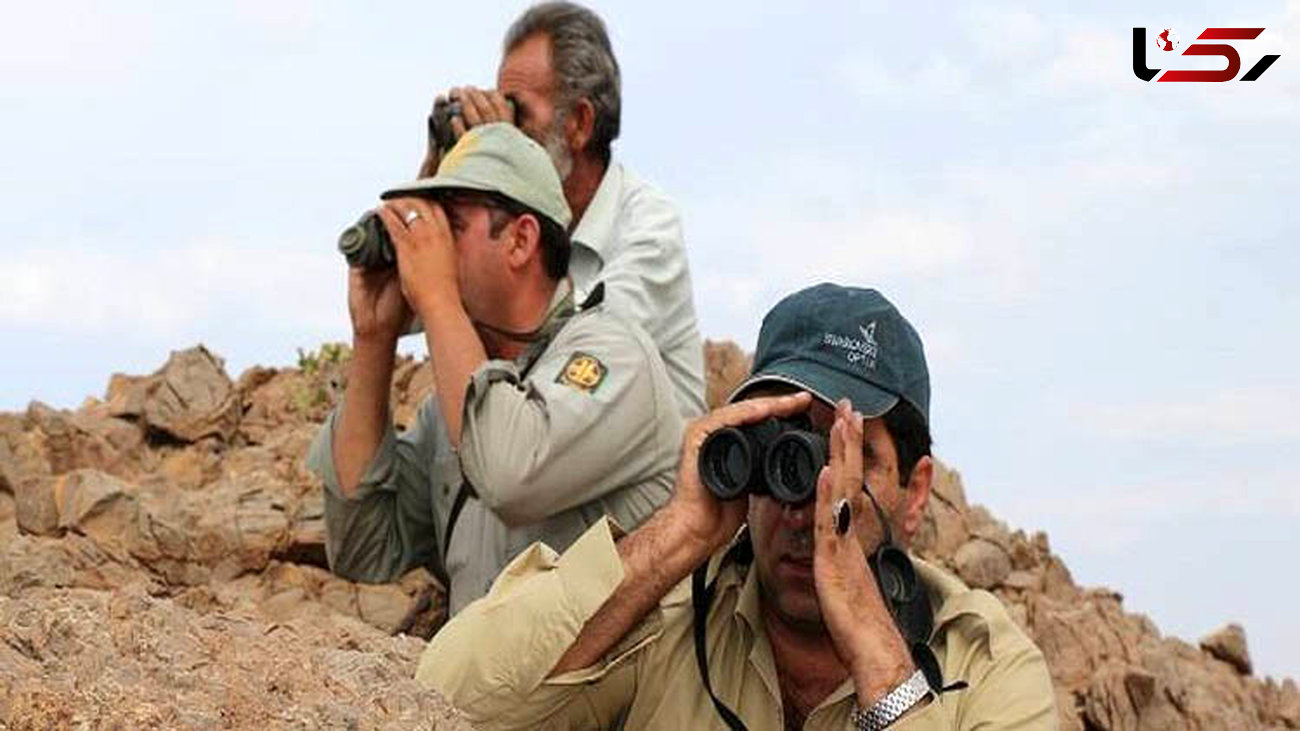 دستگیری سه شکارچی در جیرفت