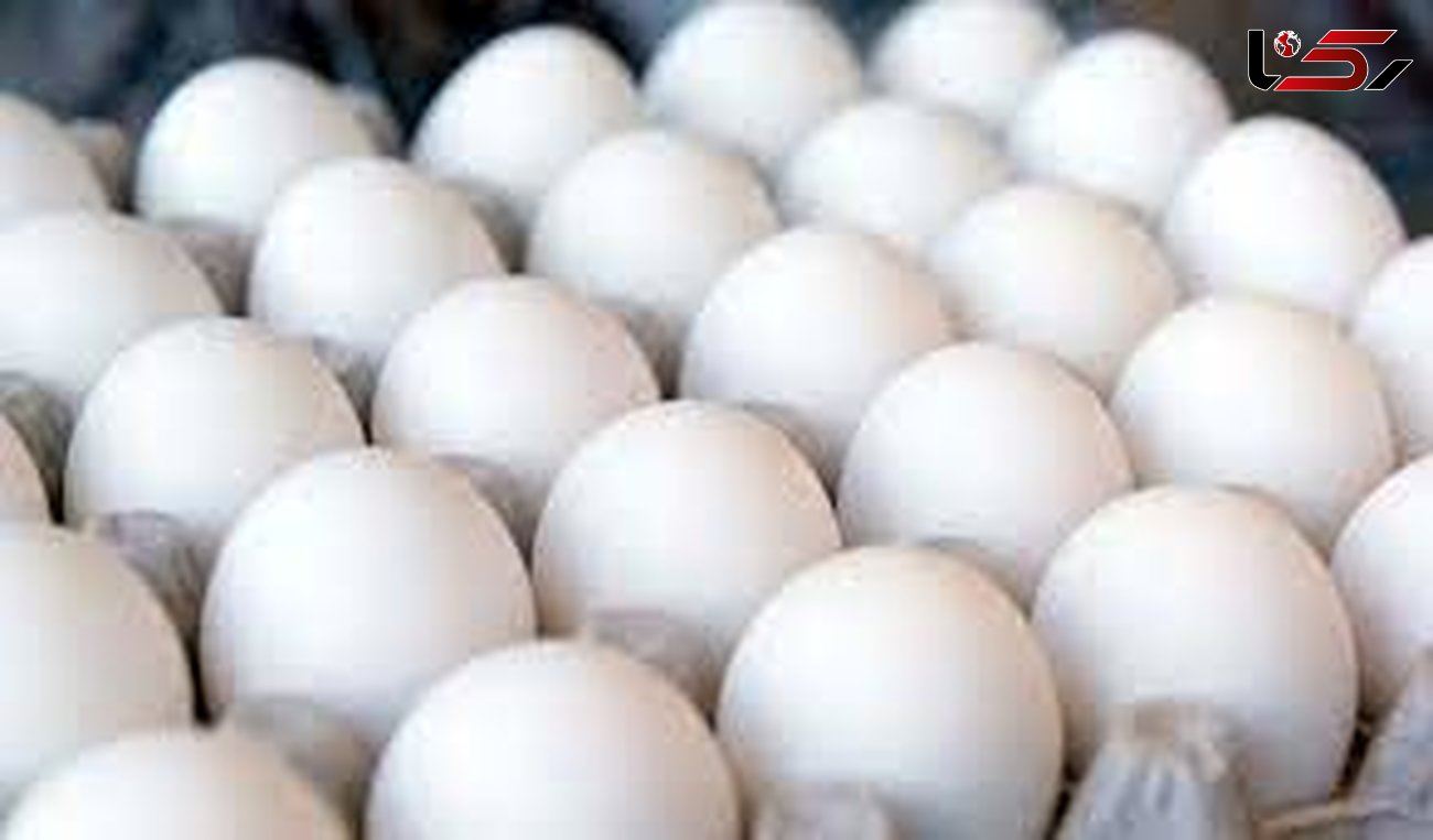  رشد ۲۲ درصدی تولید تخم مرغ در استان قزوین 